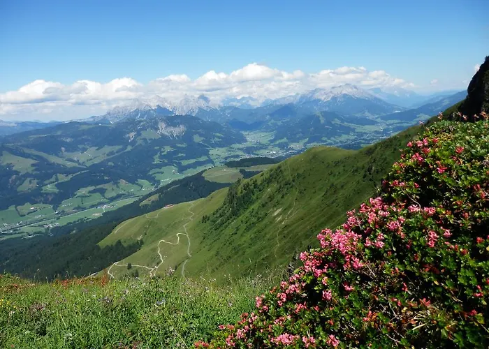 Alpenappartement Europa