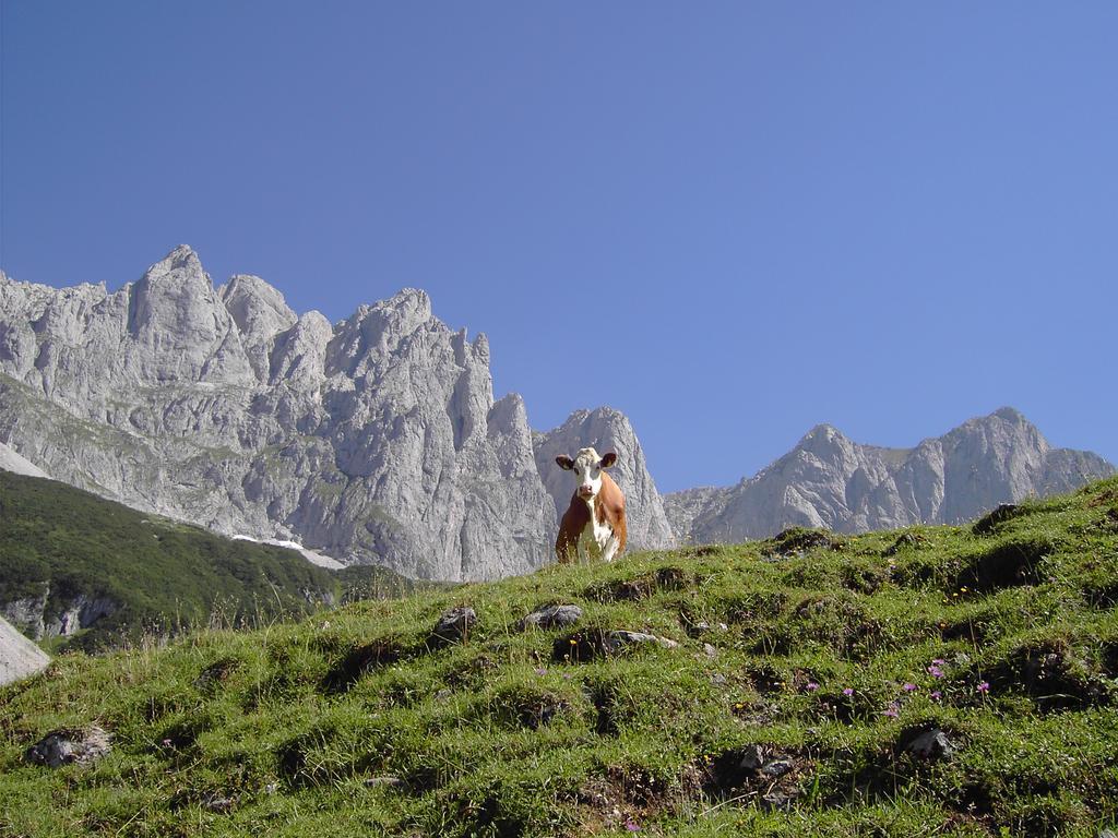 Alpenappartement Europa